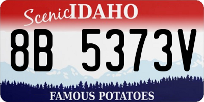 ID license plate 8B5373V