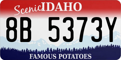 ID license plate 8B5373Y