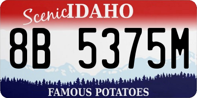 ID license plate 8B5375M