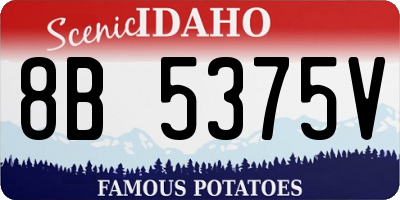 ID license plate 8B5375V