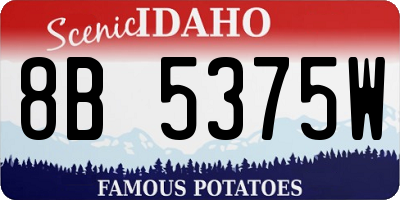 ID license plate 8B5375W