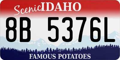 ID license plate 8B5376L