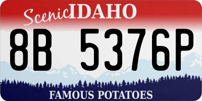 ID license plate 8B5376P