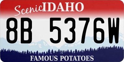 ID license plate 8B5376W