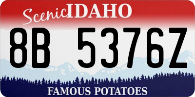 ID license plate 8B5376Z