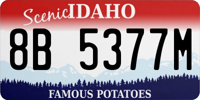 ID license plate 8B5377M