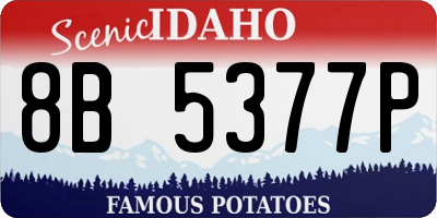 ID license plate 8B5377P