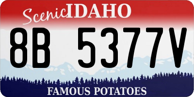ID license plate 8B5377V