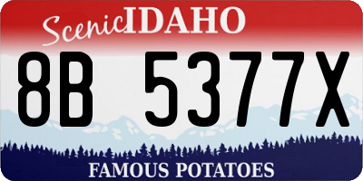 ID license plate 8B5377X