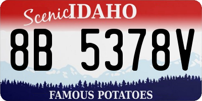 ID license plate 8B5378V