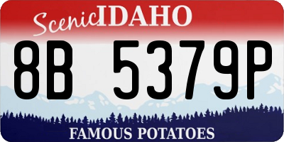 ID license plate 8B5379P