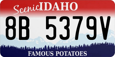 ID license plate 8B5379V