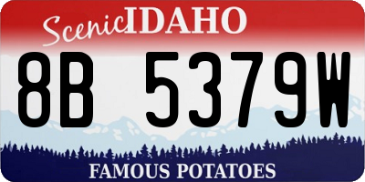 ID license plate 8B5379W