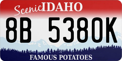 ID license plate 8B5380K