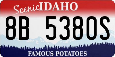 ID license plate 8B5380S