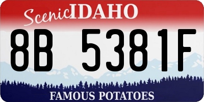 ID license plate 8B5381F
