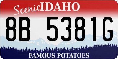 ID license plate 8B5381G