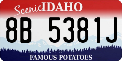 ID license plate 8B5381J