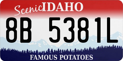 ID license plate 8B5381L