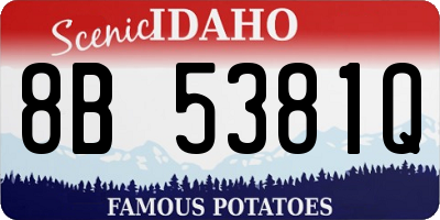 ID license plate 8B5381Q