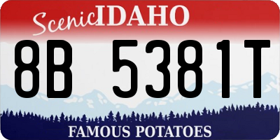 ID license plate 8B5381T