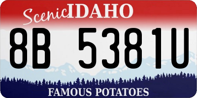 ID license plate 8B5381U