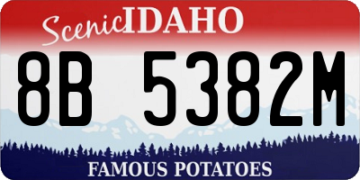 ID license plate 8B5382M