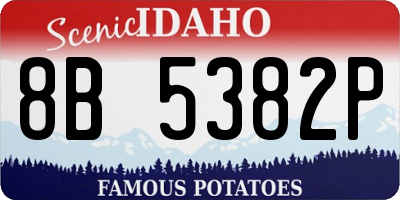 ID license plate 8B5382P
