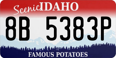ID license plate 8B5383P