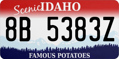 ID license plate 8B5383Z