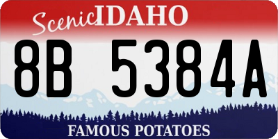 ID license plate 8B5384A