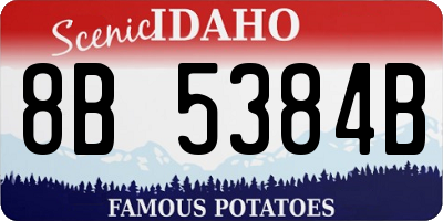 ID license plate 8B5384B