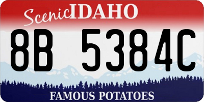 ID license plate 8B5384C