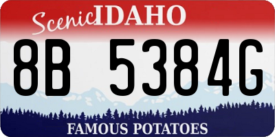 ID license plate 8B5384G