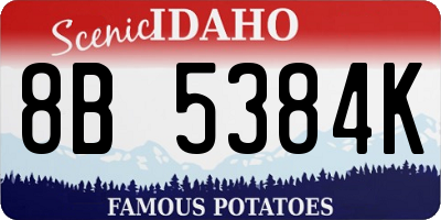 ID license plate 8B5384K