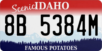 ID license plate 8B5384M