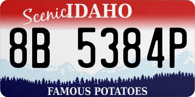 ID license plate 8B5384P