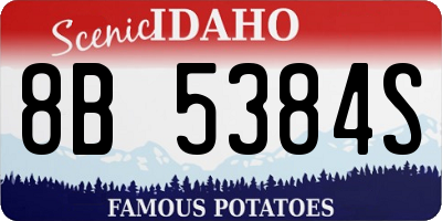 ID license plate 8B5384S