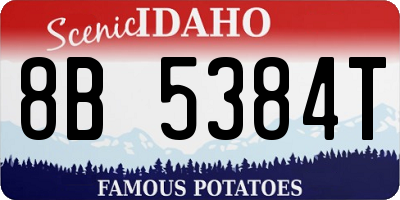 ID license plate 8B5384T