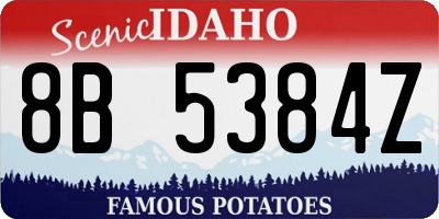 ID license plate 8B5384Z