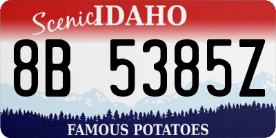 ID license plate 8B5385Z