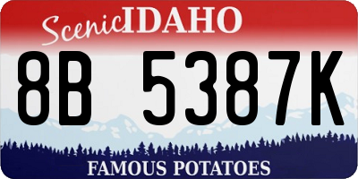ID license plate 8B5387K