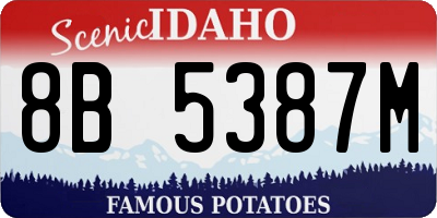ID license plate 8B5387M