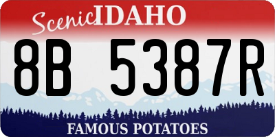 ID license plate 8B5387R