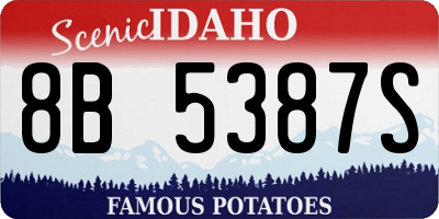 ID license plate 8B5387S