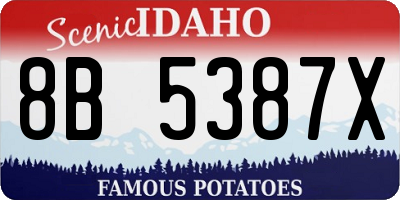 ID license plate 8B5387X