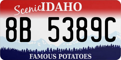 ID license plate 8B5389C