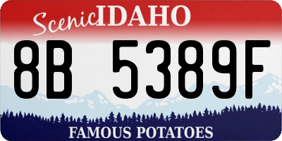 ID license plate 8B5389F
