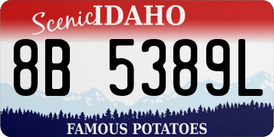 ID license plate 8B5389L