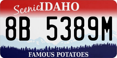ID license plate 8B5389M
